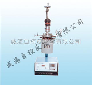WDFS实验用高温高压反应釜