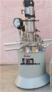 WHFS1-5L实验高压加氢反应釜