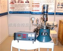 WDF-2L实验室磁力高压反应釜生产直销