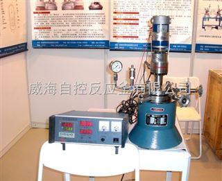 WDF-2L实验室磁力高压反应釜生产直销