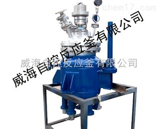 WHF 50L-10000L中试高压反应釜