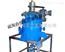 WHF-300磁力搅拌高压反应釜批发供应