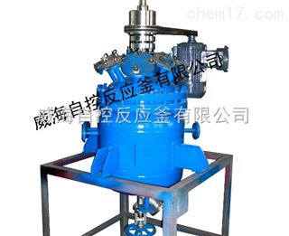 WHF-300磁力搅拌高压反应釜批发供应