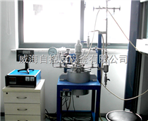 WHF磁力搅拌高压反应釜