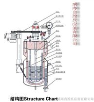 WHF开式平盖式高压釜