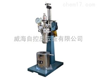 0.5L实验室用小型反应釜