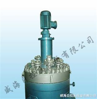 WHF型磁力搅拌高压反应釜