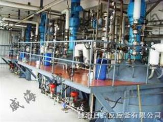 WHF-2L催化加氢不锈钢反应釜定制